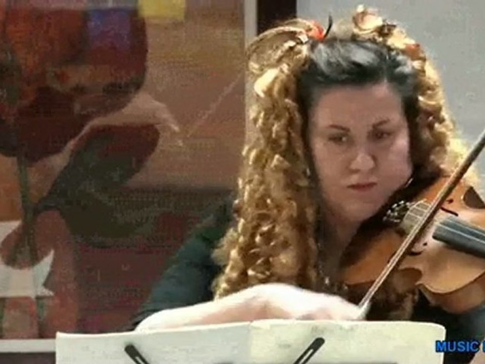 Johann Strauss - Le Beau Danube Bleu