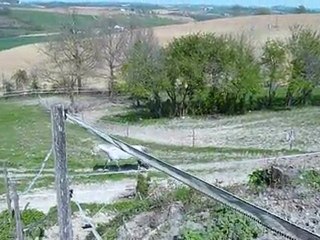 DANUBIO - PRE - 09 Avril 2010 - Au paddock avec Peppermint