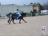 Championnat départemental de Dressage (63)