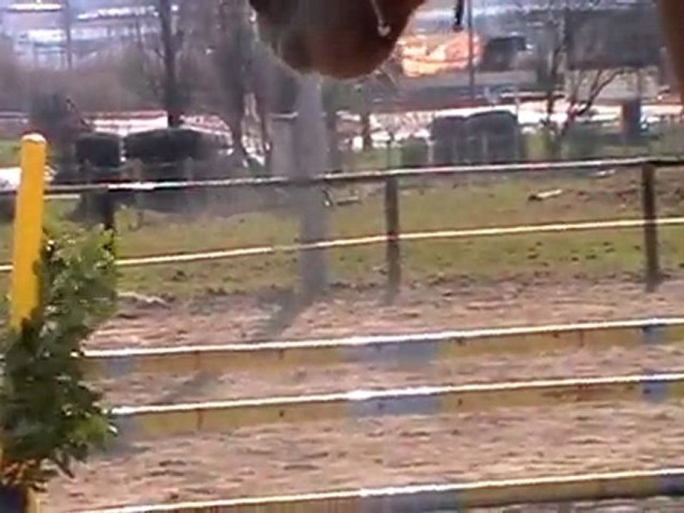 MOV008