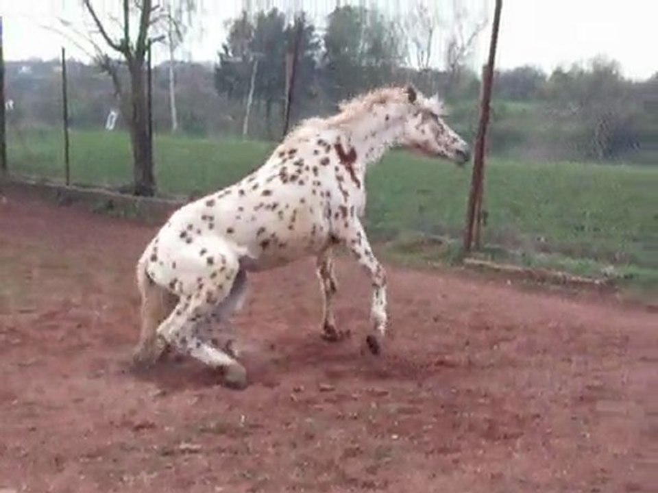 DSCF2123