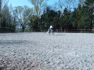 DANUBIO - PRE - 09 Avril 2010 - Reprise du travail - 2