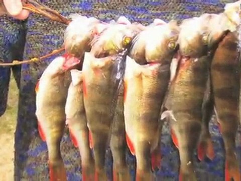 Konferens Kalix Påläng Land & Strand I Påläng