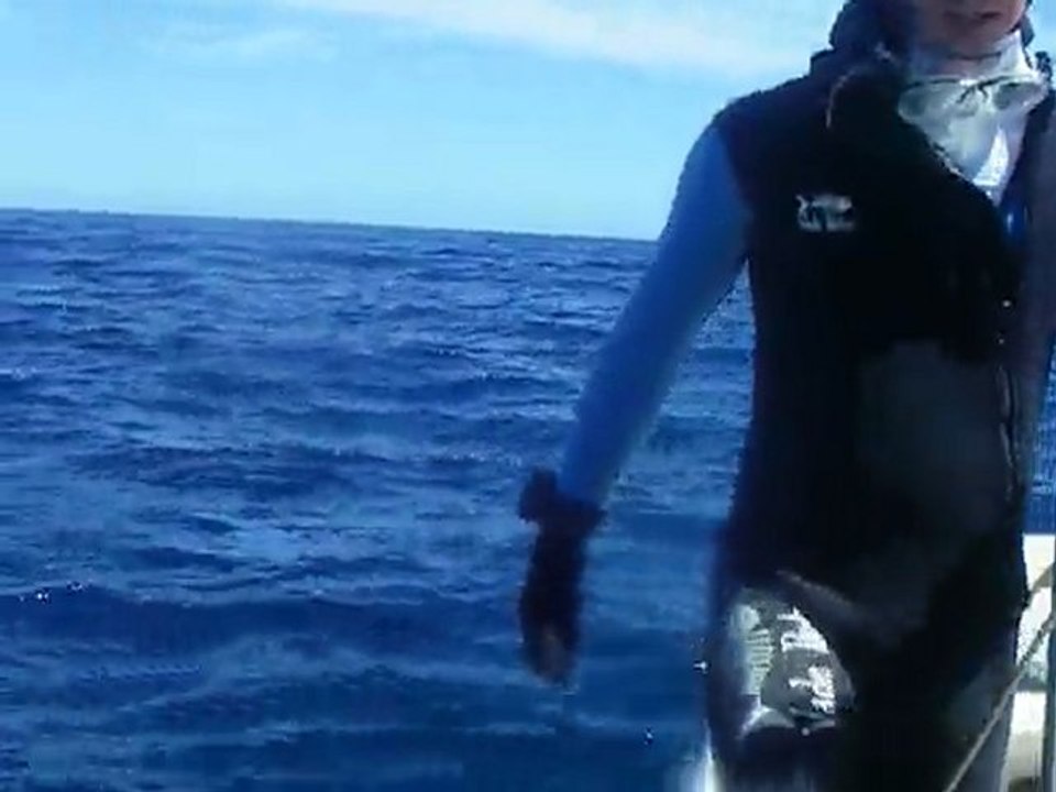 Vague sur la barrière de corail