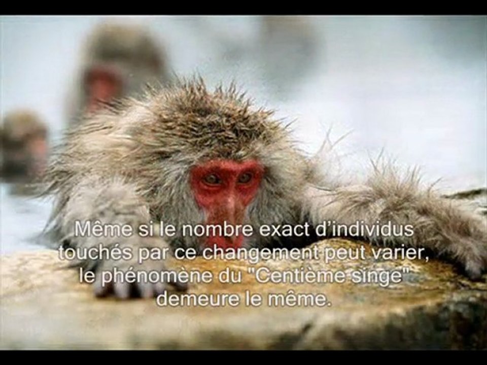 Le phénomène du centième singe