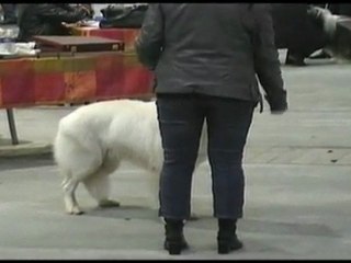 marseille BBS ET LOTS