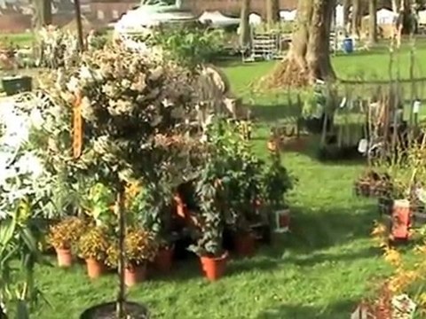 En direct de la Foire de jardin d'Enghien, avril 2010