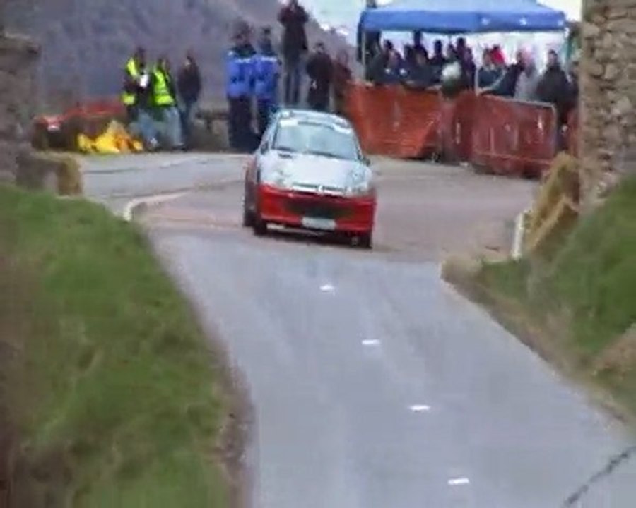 Rallye Pays du Gier 2010 206 Maxi