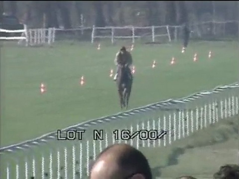 Lot 11 (N°16)