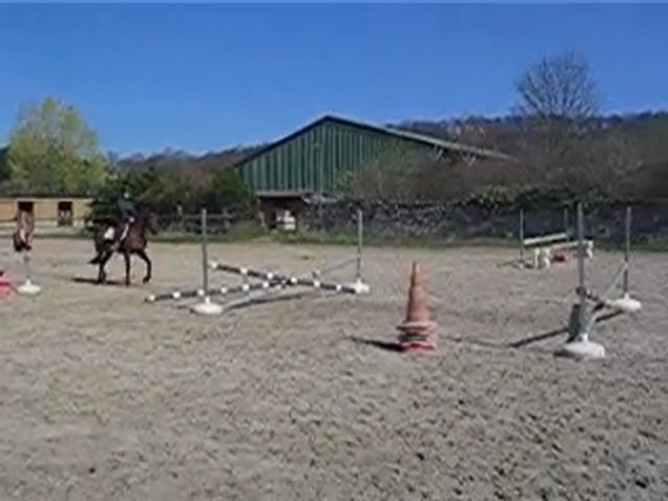 saut avec sylvie