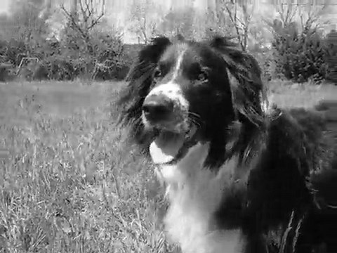 Ma fifille au printemps 2010