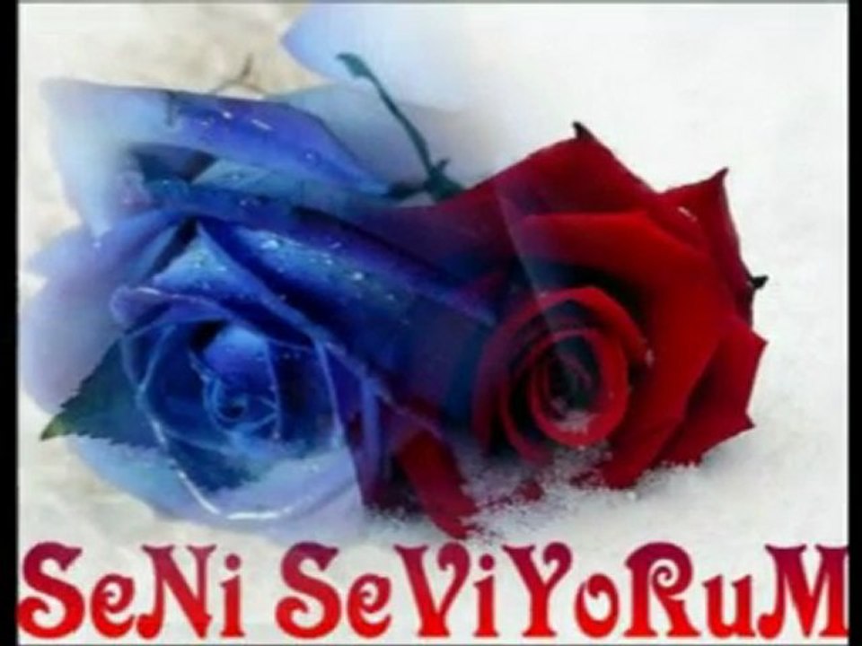 Mustafa Aksoylu