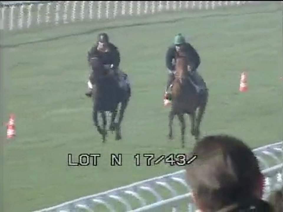 Lot 1