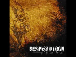 DESPISED ICON