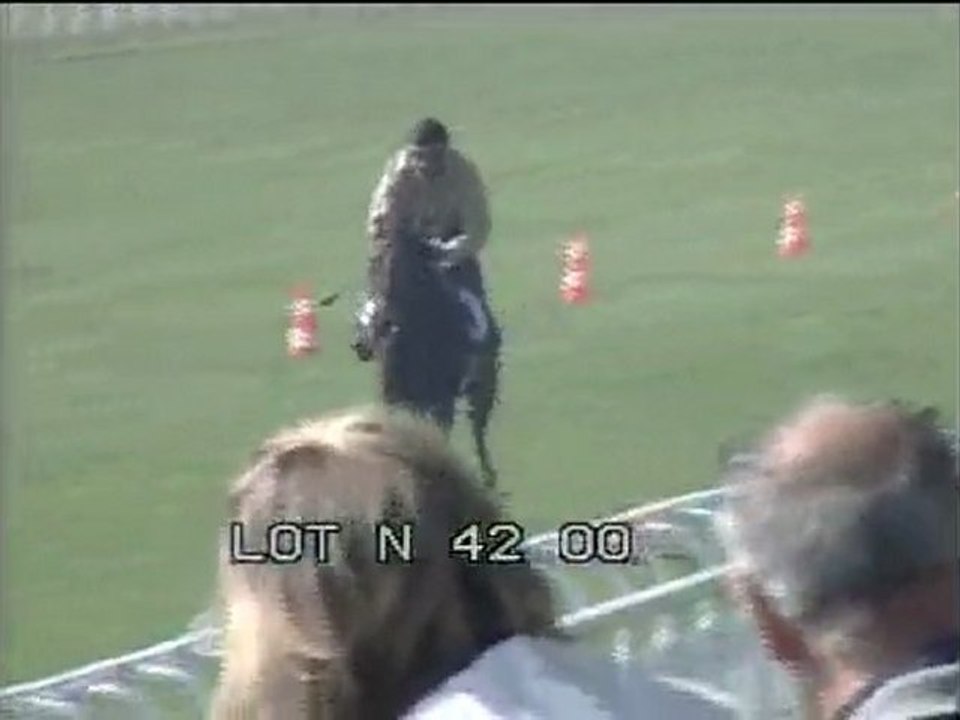 Lot 17