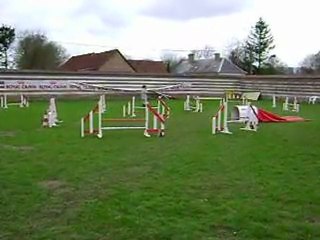 Concours d'agility domvast