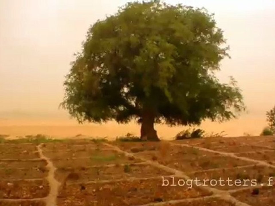 Tempete sur Ndjamena (no comment)
