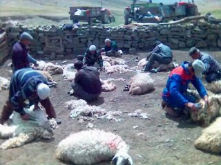 nerde kaldi vatanimiz elimiz-cekic ali