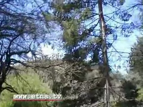 ETNA - AL RIFUGIO FORESTALE DI MONTE SPAGNOLO