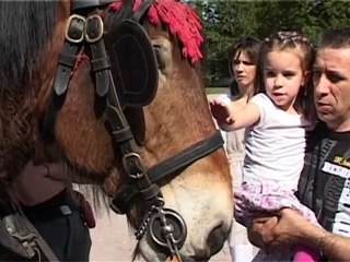 Nature(s), Nature 2010 à Strasbourg : des chevaux au Parc de l'Orangerie 3/4