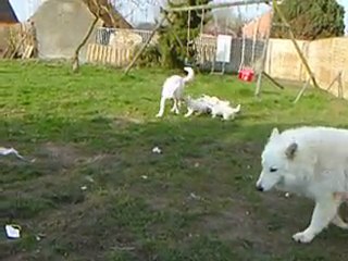 1 ere sortie des bebes de douschka 001