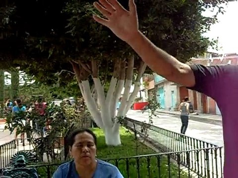 sentencia via crucis VEGA 221