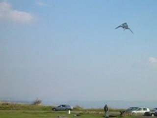 Cerf-volant à Gergovie avril 2010