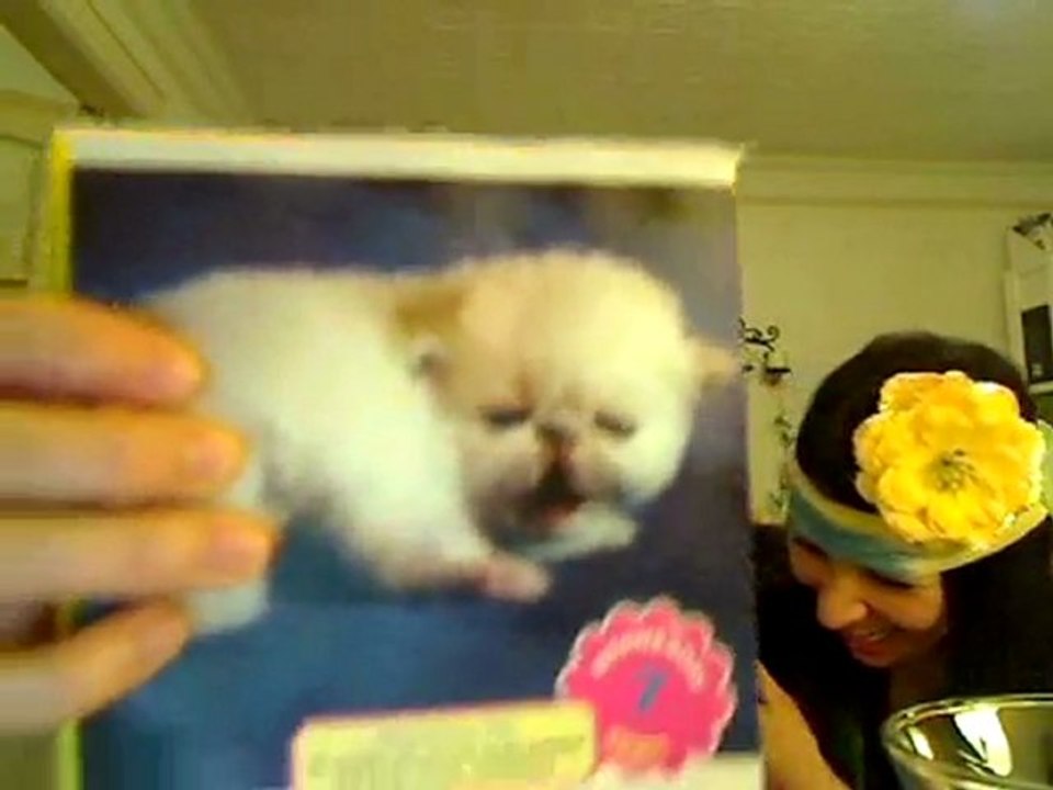 Alison Rosen Is Your New Best Friend-Italian scene