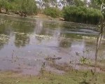 Crocodile fishing in Kakadu