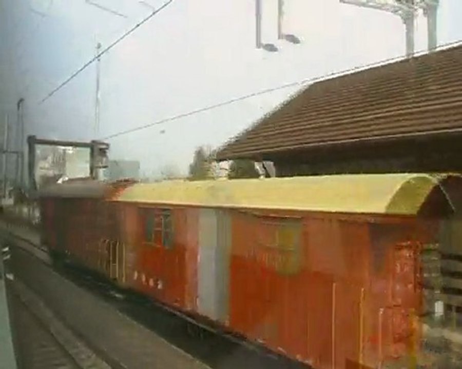 salim travel