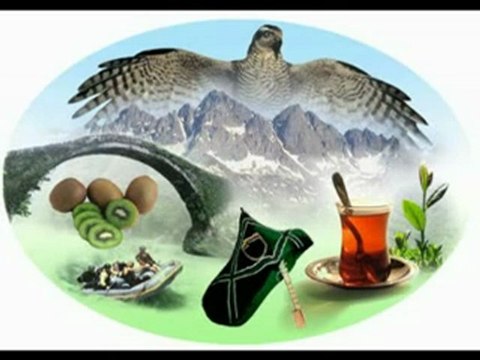 Ayhan Alptekin-Atmaca