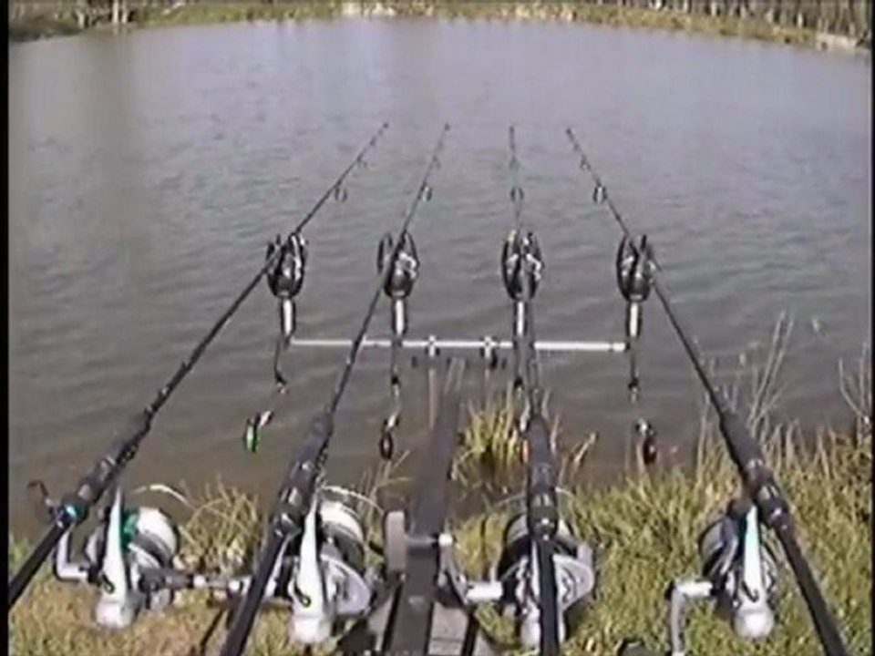 4 départs de carpe / 4 carp runs