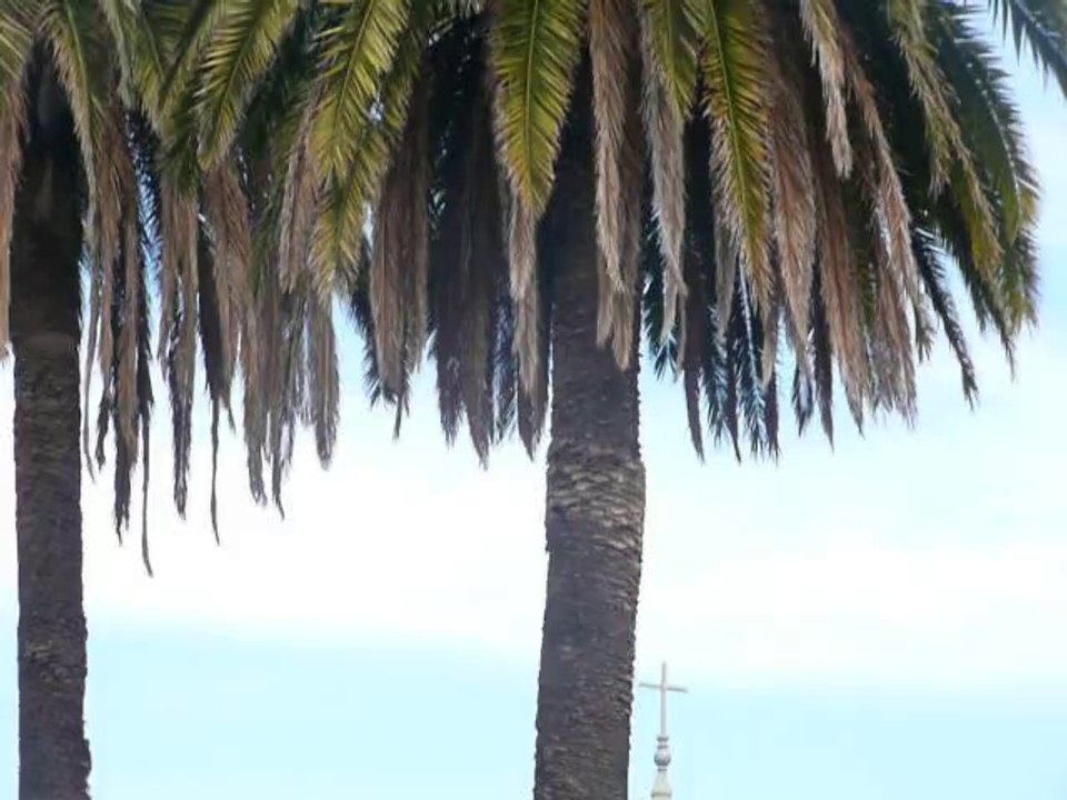 SAN FRANCISCO