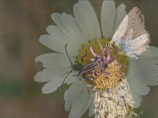 Expo Photo 2010 Clic Triel