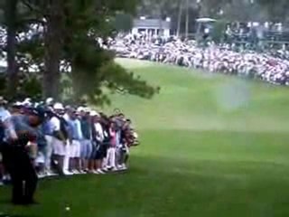 Tiger Woods Filthy Draw-Hook @ Augusta