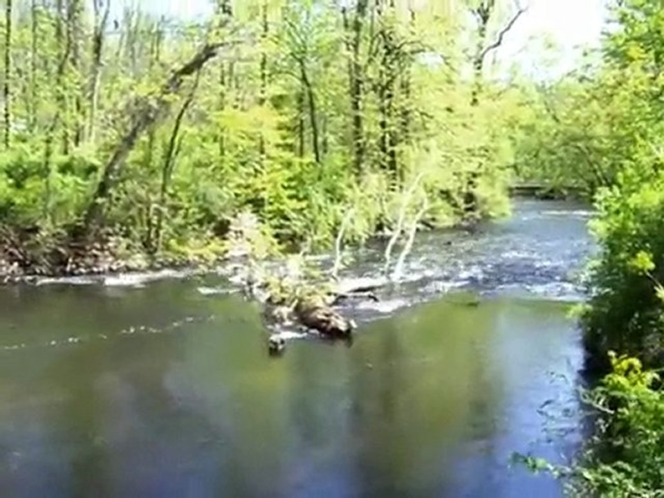 Opening Day Trout Season