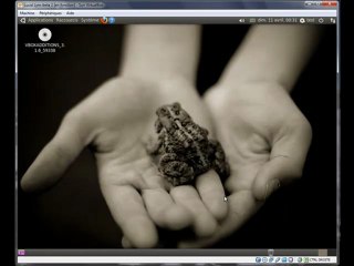 ubuntu lucid lynx beta 2