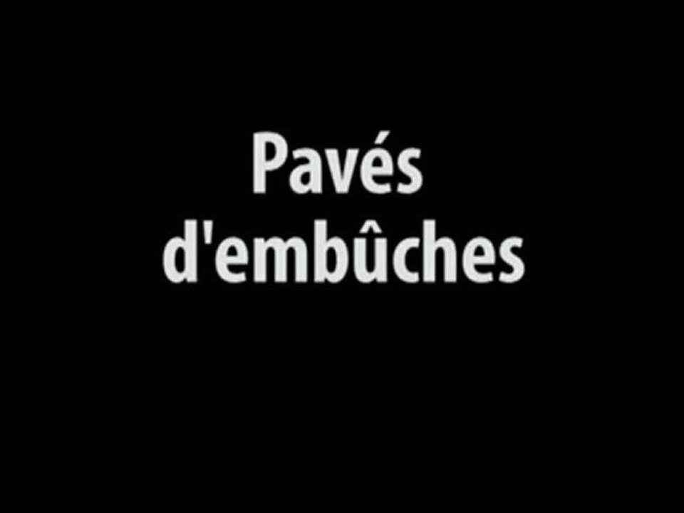 pavé d'embuche v2
