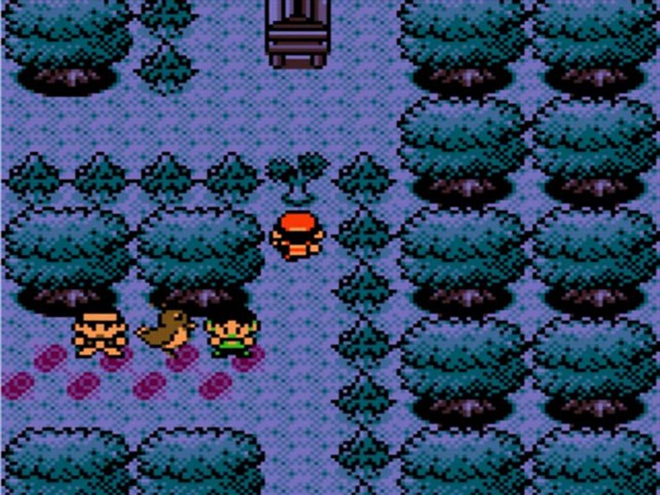 Pokémon Version Cristal (7) Le Bois Aux Chenes