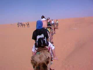 Désert à Ksar Guilane