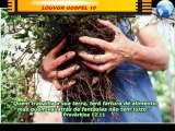 LOUVOR GOSPEL 10