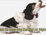 Dog Barking at Night-Learn How to Stop Dog Barking at Night