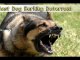 Dog Barking Deterrent-Best Dog Barking Deterrent