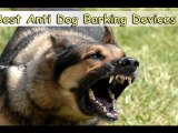 Anti Dog Barking Devices-Best Anti Dog Barking Devices