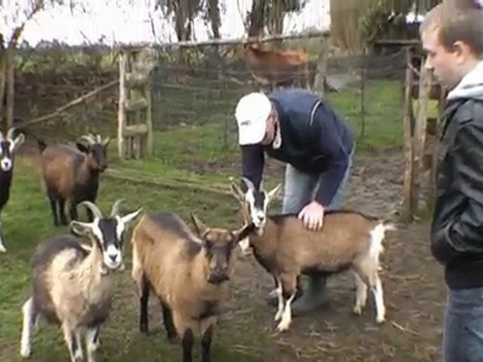L'Arche de Nanou Tony et Axelle