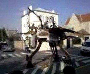 LE GROS OISEAU À BOURG LA REINE