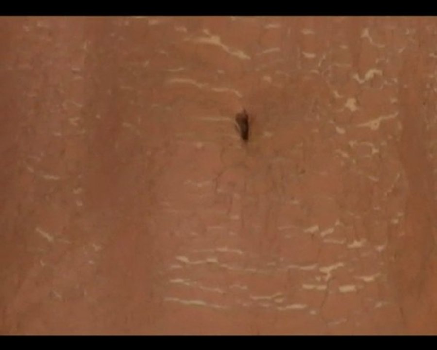 Nos Yeux Grands Ouverts - Films Gagnants