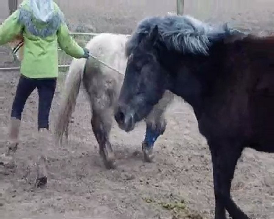 début montage de m_0001k