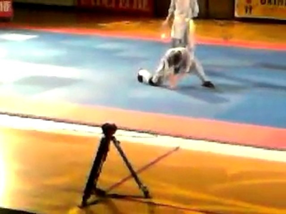 la nuit d art martiaux 2010 toulouse