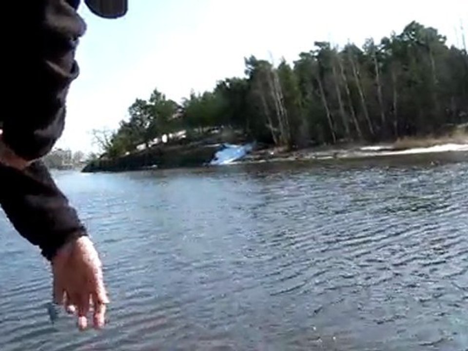 WHITEFISH AVIM 11.04.2010 001